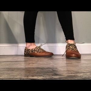 Leopard print, brown leather oxfords